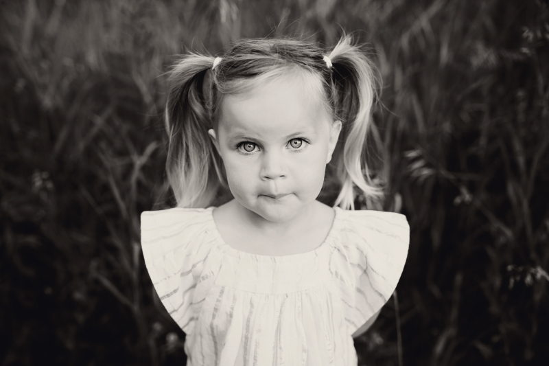 2M6A2086bw