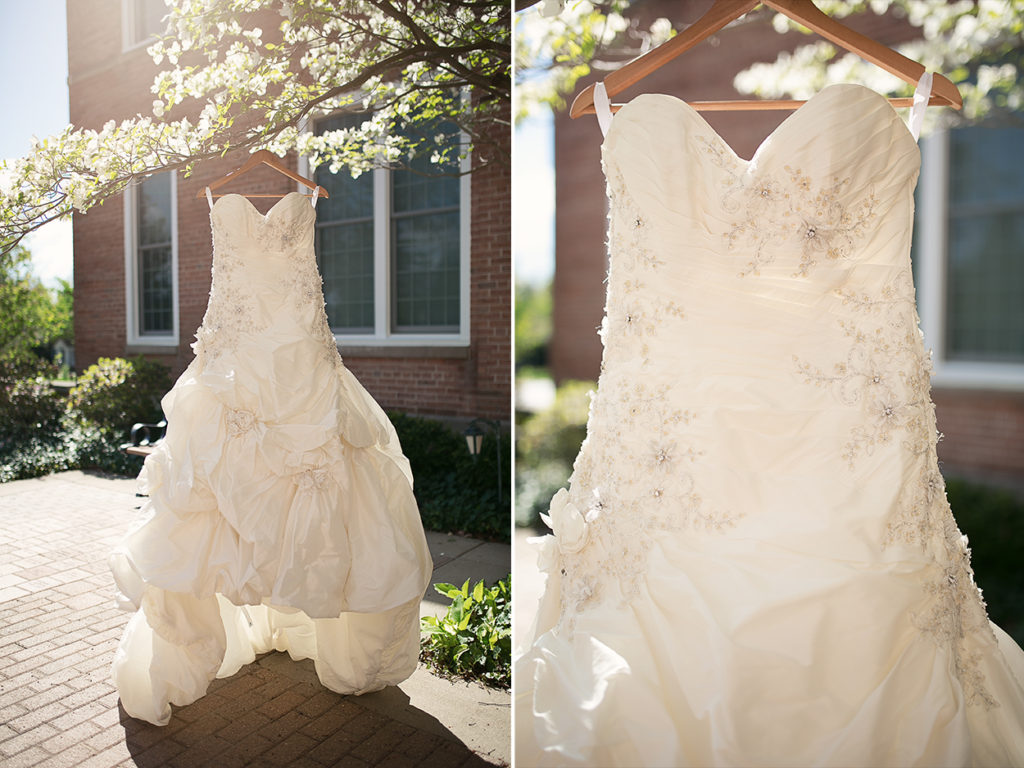 Ann Arbor Michigan wedding photographer